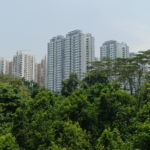 Forest walk, Mount Faber Park, Singapour