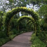 Jardin botanique, Singapour