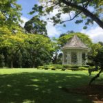 Jardin botanique, Singapour