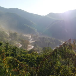 Kalaw dans les montagnes