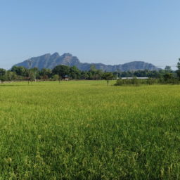 Hpa-An, 24 heures chrono