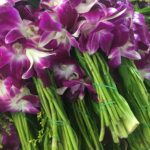 Orchidées, Flower Market, Bangkok, Thaïlande