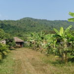 Sothy's Pepper farm, Kep, Cambodge