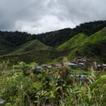 Tea plantations, Cameron Highlands, Malaisie