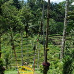 Rizières en terrasses, Ubud, Bali